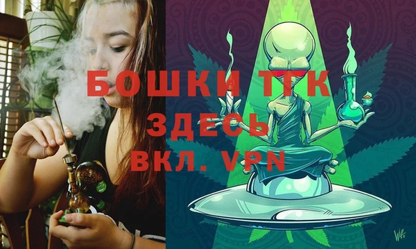 гидра Белокуриха