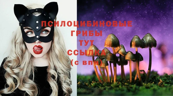 гидра Белокуриха