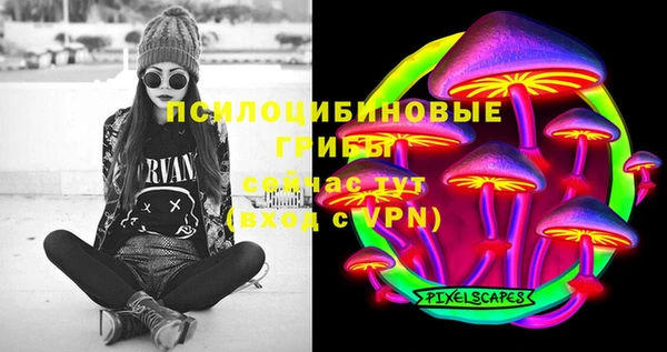 гидра Белокуриха