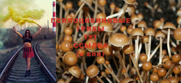 каннабис Беломорск