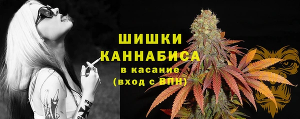 гидра Белокуриха